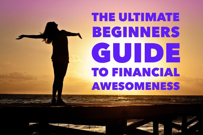 The Ultimate Beginner’s Guide to Financial Awesomeness