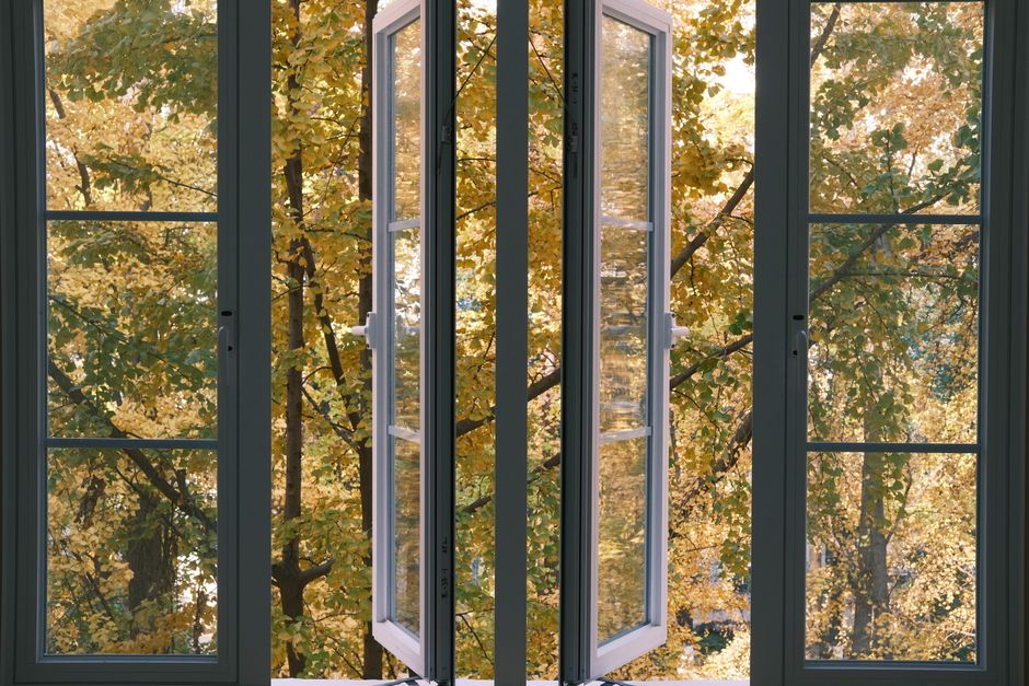 View through an open window showing vibrant autumn foliage.